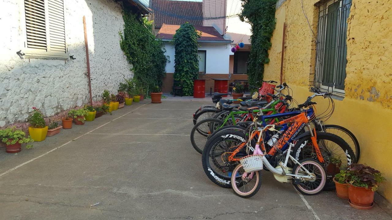 Home Hostel Szkodra Zewnętrze zdjęcie
