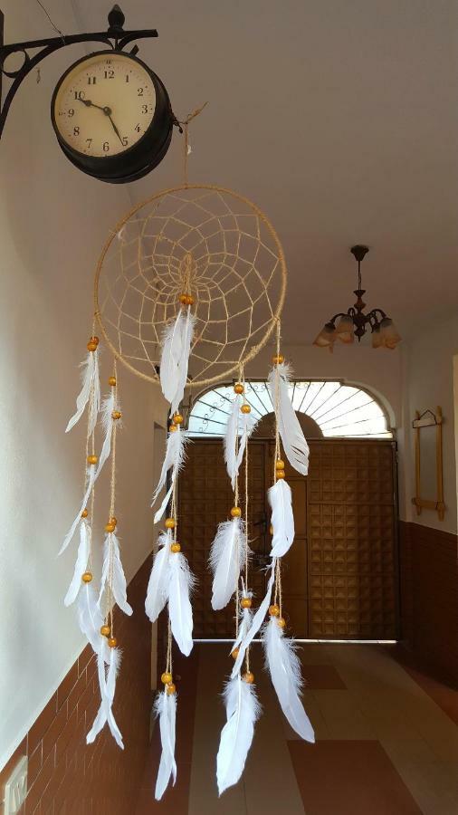 Home Hostel Szkodra Zewnętrze zdjęcie