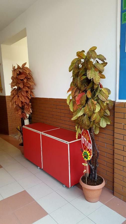 Home Hostel Szkodra Zewnętrze zdjęcie