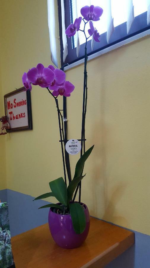 Home Hostel Szkodra Zewnętrze zdjęcie