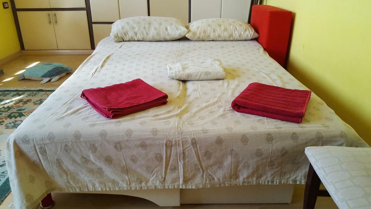 Home Hostel Szkodra Zewnętrze zdjęcie